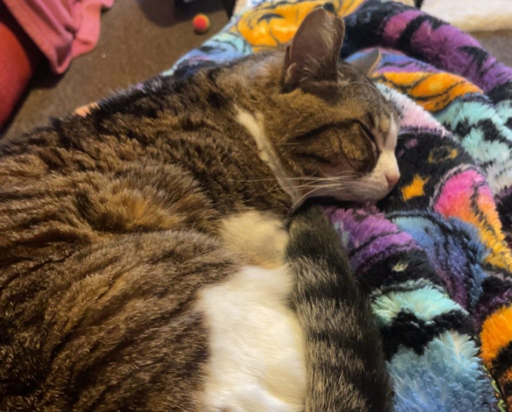 Got evening plans but feeling lazy? Here’s what you’re going to&nbsp;do